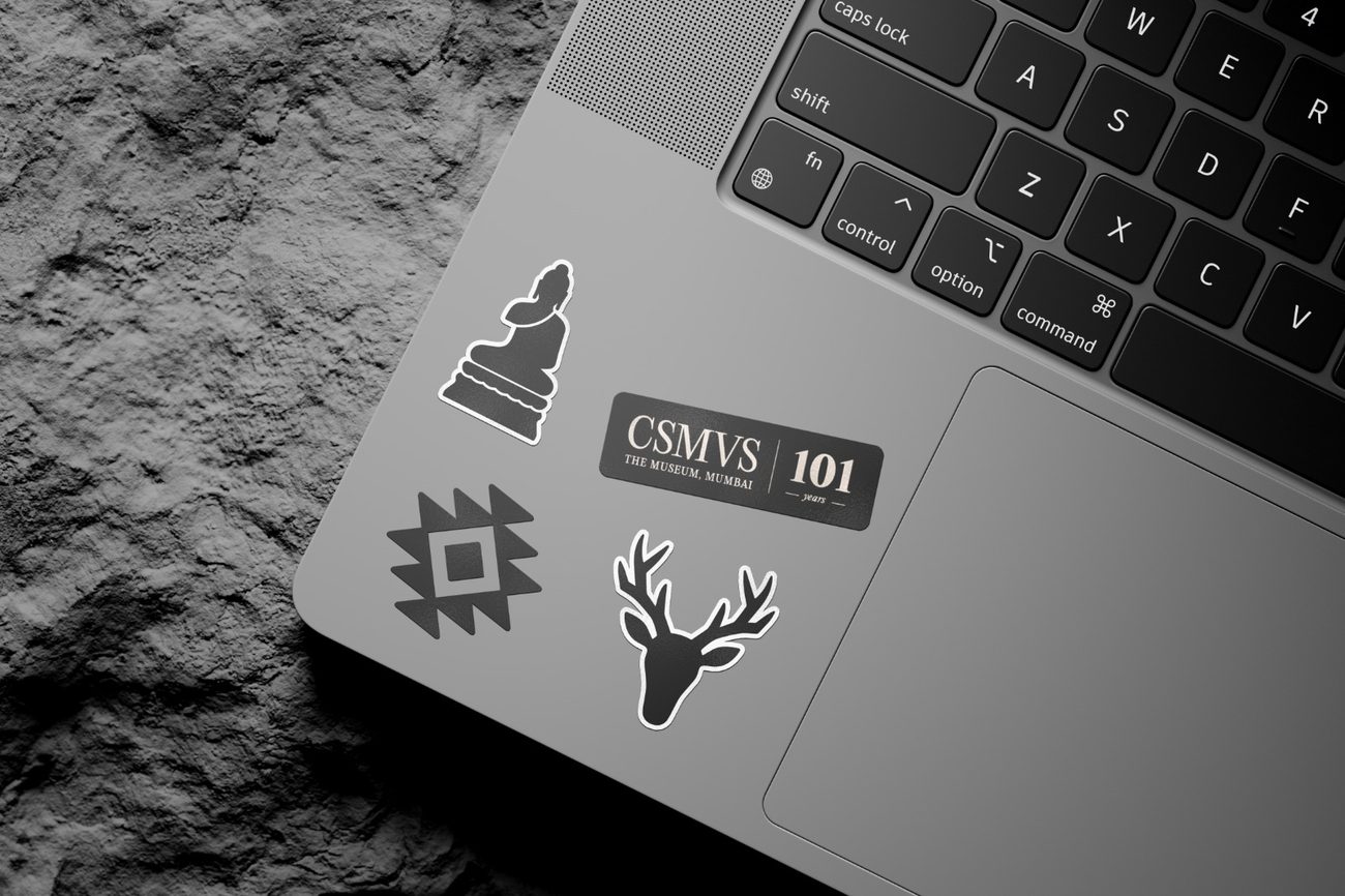 CSMVS campaign asset