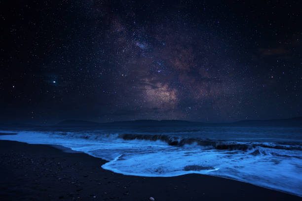 A Dreamy Hue, midnight blue publication